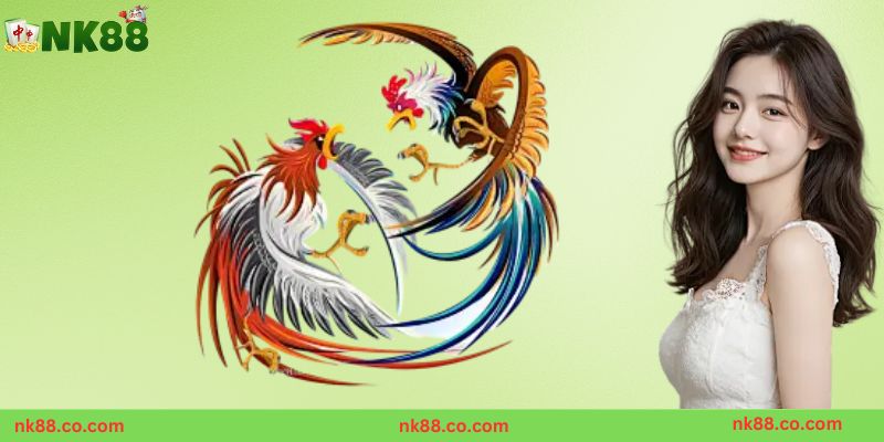 Ưu điểm của đá gà NK88 cho người chơi Việt Nam