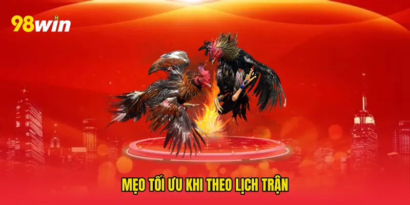 Mẹo tối ưu khi theo lịch trận