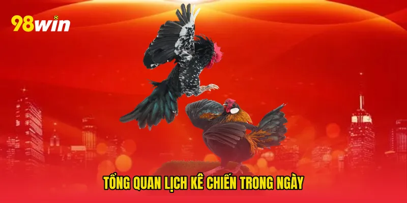 Tổng quan lịch kê chiến trong ngày